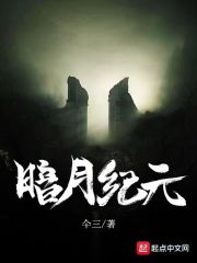 暗月纪元 封面