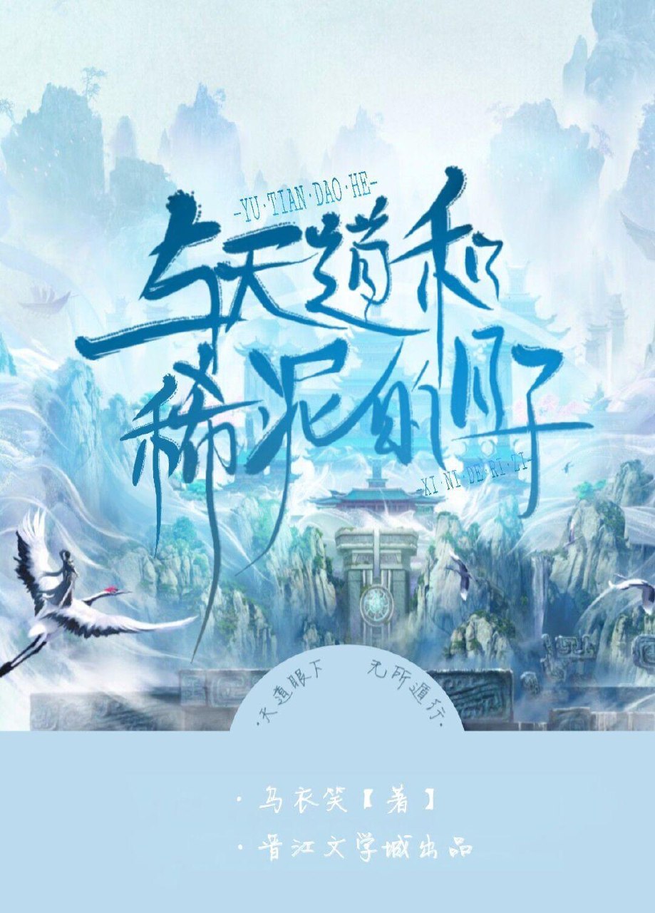 与天道和稀泥的日子 封面
