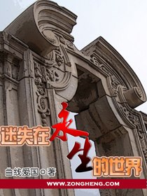 迷失在《永生》的世界 封面
