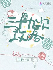 第三十九次攻略 封面