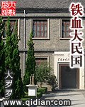 铁血大民国 封面