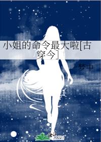 小姐的命令最大啦[古穿今］ 封面