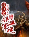 抗日之铁血军魂 封面