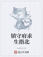 镇守府求生指北 封面