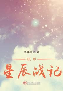 机甲星辰战记 封面