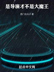 华娱：导演只想省钱 封面