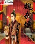 魏武侯 封面