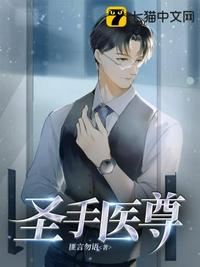 圣手医尊 封面