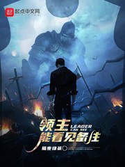 领主能看见备注 封面
