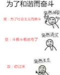 为了和谐而奋斗 封面