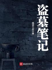 盗墓笔记小说 封面