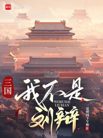 三国：我不是刘辩 封面