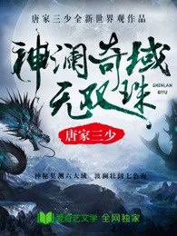 神澜奇域 封面