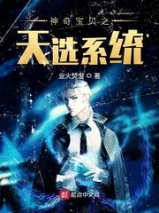 神奇宝贝之天选系统 封面