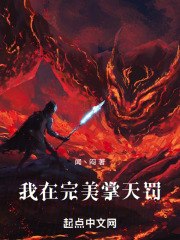 我在完美掌天罚 封面