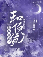 洛南书傅斯景 封面