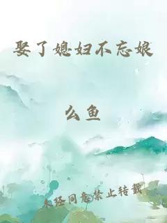 娶了媳妇不忘娘 封面