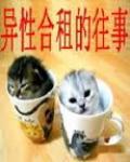 异性合租的激情往事 封面
