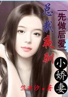 先做后爱：总裁夜驯小娇妻 封面