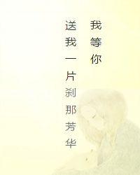 我等你,送我一片刹那芳华 封面