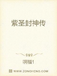 紫圣封神传 封面