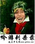 吟游刺杀录 封面