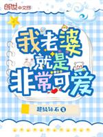 我老婆就是非常可爱 封面