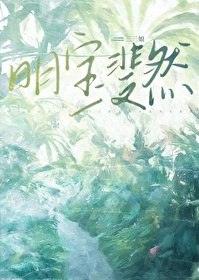 明宝斐然 封面