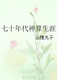 七十年代神算生涯 封面