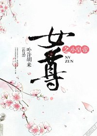 女尊之小皇帝 封面