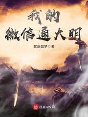 我的微信通大明 封面