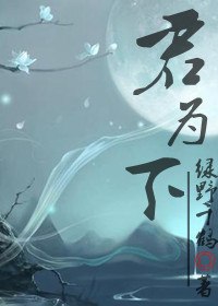 君为下 封面