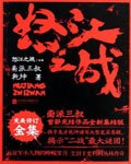 怒江之战 封面