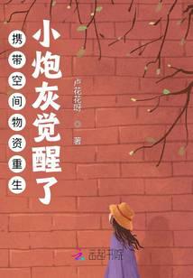综武：读书成圣，以武犯禁 封面