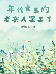 年代文里的老实人罢工了 封面