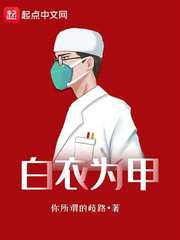白衣为甲 封面