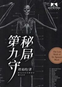 第九守秘局 封面