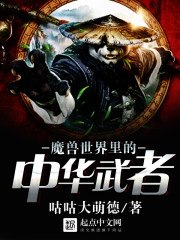 魔兽世界里的中华武者 封面