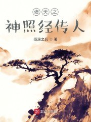 诸天之神照经传人 封面