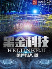 黑金科技 封面