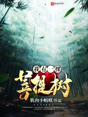 我有一棵菩提树 封面