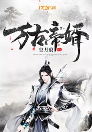 万古帝婿 封面