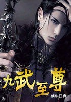 九武至尊 封面
