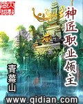 神匠职业领主 封面
