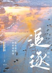 追逐[刑侦] 封面