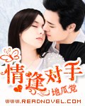 情逢对手 封面