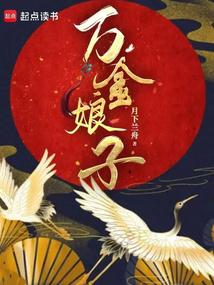 万金娘子 封面