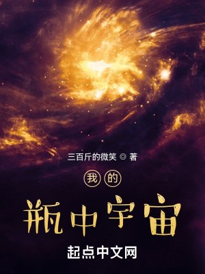 我的瓶中宇宙 封面